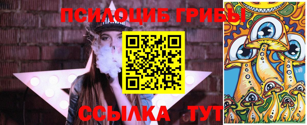 Когалым  Псилоцибиновые грибы Psilocybine cubensis  Вход с VPN 